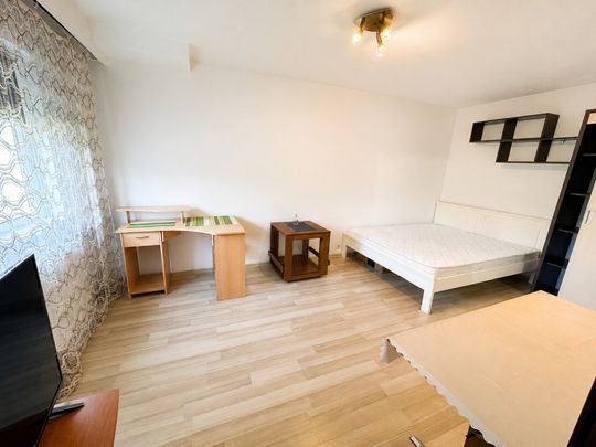 Apartament cu o cameră Bucovina - Photo 1