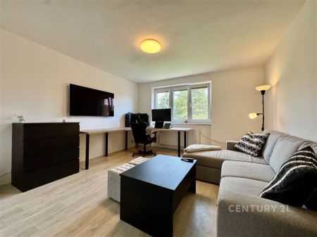 Byt po kompletní rekonstrukci s vybavením 2+1 s balkónem, 57 m - Photo 2
