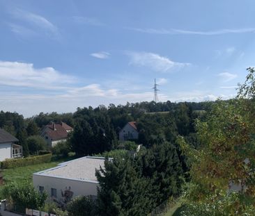 3-Zimmer-Wohnung in ruhiger Lage! - Photo 4