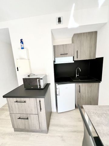 Location Appartement 1 pièce 17m² - Photo 4