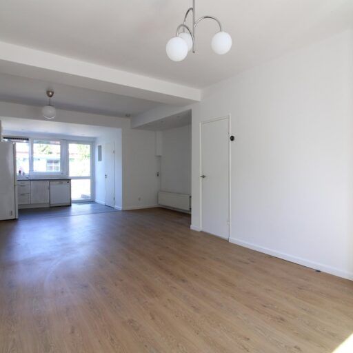 Samuel de Langestraat - Foto 1