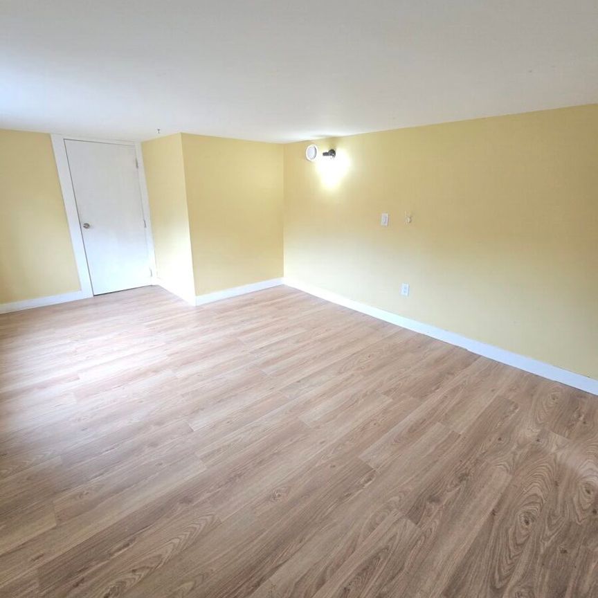 Spacious Basement Suite in Chilliwack - Photo 1