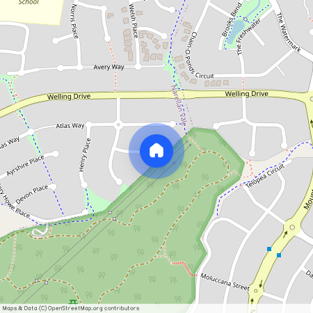 17 Payton Court, Narellan Vale 2567, New South Wales