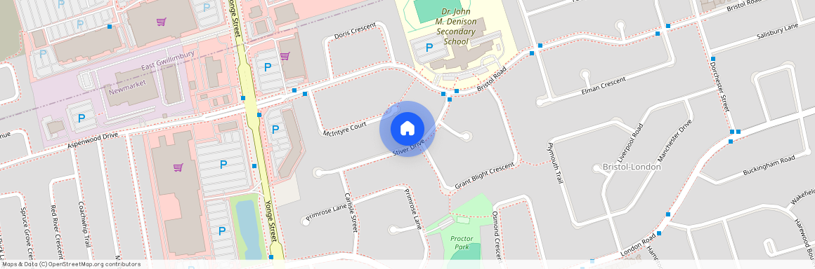 93 Stiver Drive, Newmarket