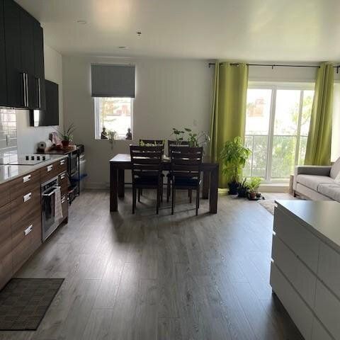 Moderne 3 1/2 – Disponible Dès Octobre! - 4115 Henri Bourassa Ouest, Montréal - Photo 1
