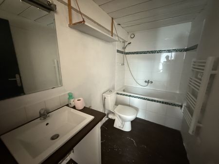 Location Appartement 2 pièces 48m² SAUVE 30610 - Photo 2