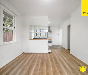 Renovated 3-Bedroom Lynfield Bungalow - Pet Friendly & Prime Location - Photo 1