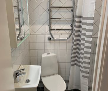 Jungfrudansen, Solna - Foto 1