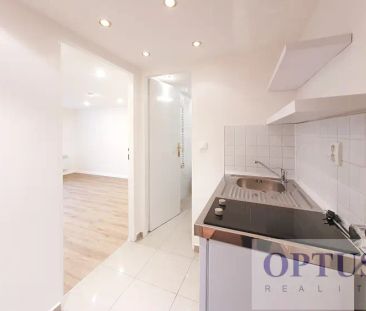 P4 Podolí, ul. Levá, moderní nezař. ateliér 1 + k. k., 25 m - Photo 3
