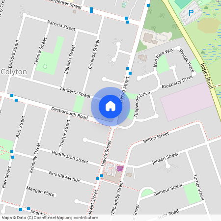 49 Hewitt Street, Colyton, NSW 2760