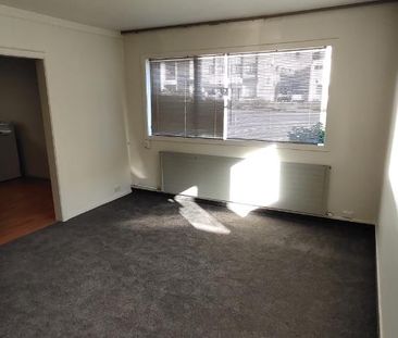 Thermal Unit - Central Location - Rotorua - Photo 4