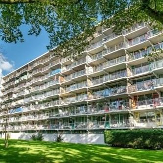 Zijldonk, 2317 DP Leiden, Nederland - Foto 3