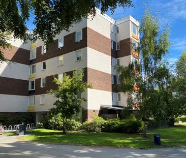 Hasselgatan 66 - Photo 1