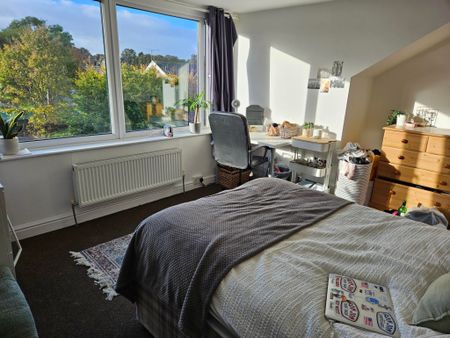 Cliff Mount, Woodhouse, Leeds - Photo 5