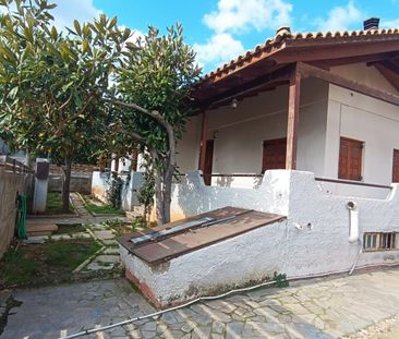 Μονοκατοικία για ενοικίαση Πόρτο Ράφτη (Μαρκόπουλο) - Photo 5