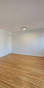 Large Cat Friendly Studio Unit With Laundry Steps From Commercial Dr - Photo 3