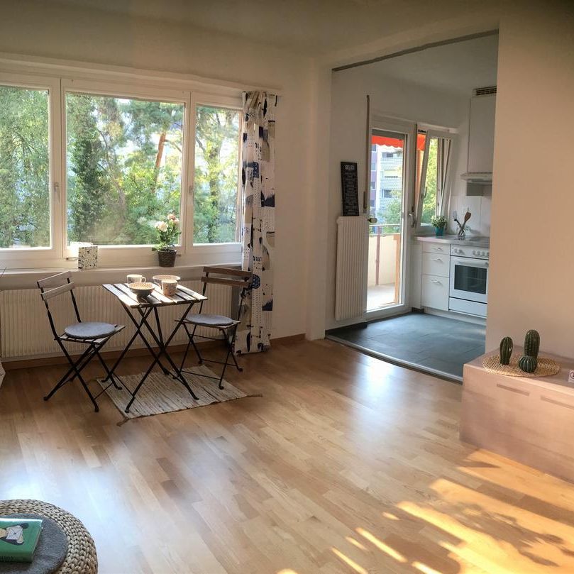 Helle 2 Zimmerwohnung mit ruhigem, sonnigen Balkon ins Grüne - Photo 1