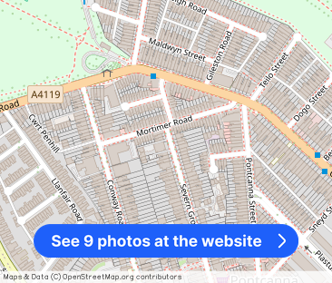 Severn Grove, Pontcanna - Photo 1