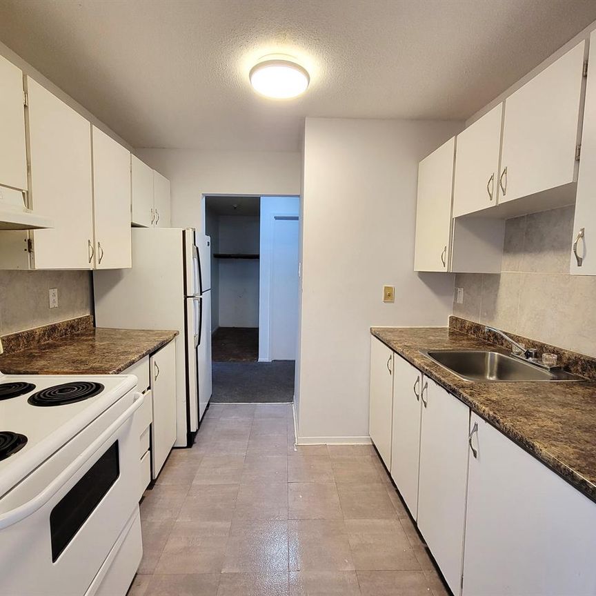 30 Rue De Matapédia (Gatineau) Très Bel Appartement D'une Chambre. - Photo 1