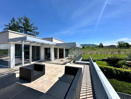 Penthouse-Traum im Zentrum von Steyr zur Miete - Großzügige Terrasse mit atemberaubendem Ausblick - Foto 5