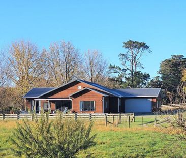 Country home minutes from Matakana Village - Photo 5