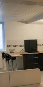 Location Appartement 1 pièce 44m² - Photo 3