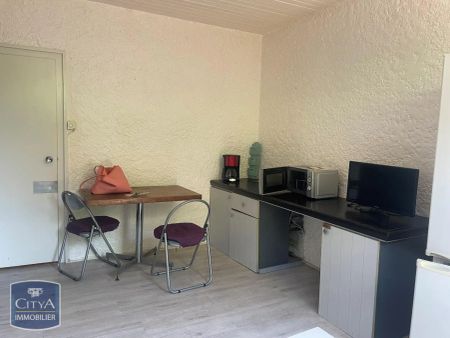 Appartement à louer 1 pièce 21.8m² - Photo 3