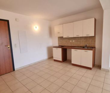 Appartement 2 pièces à louer à PENTA DI CASINCA - Photo 5