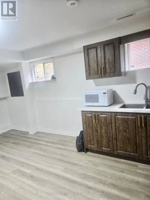 59 LIONSHEAD OUT - Photo 1