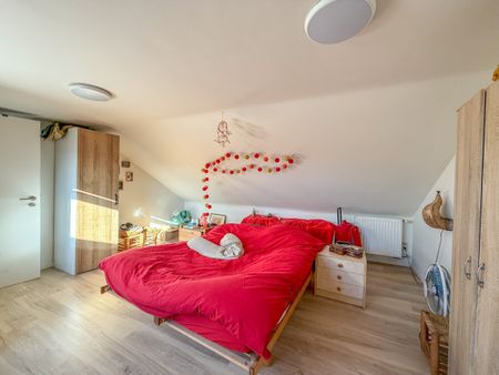 Woning met 3 slaapkamers in centrum Tienen - Foto 3