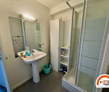 Location Appartement 1 pièce 20m² - Photo 6