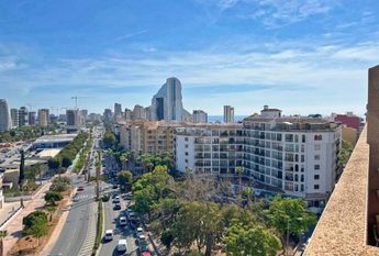 Alicante, Valencian Community 03710