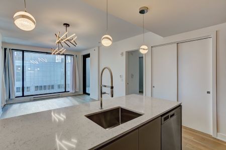 Condo for rent, Montréal (Ville-Marie) - Photo 2