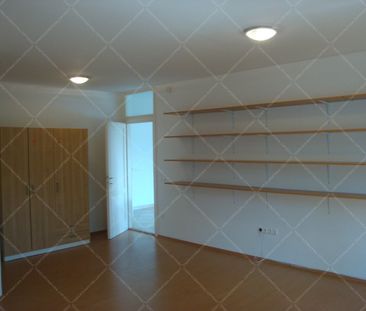Moha utca | Property for Long Term Rent in Budapest - Photo 3