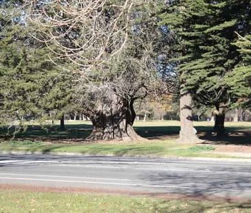 Easy townhouse living - Photo 5