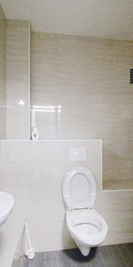 Location Appartement 1 pièce 18m² STRASBOURG 67000 - Photo 4