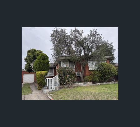 13 Ford Street, Ringwood, Vic 3134 - Photo 4