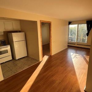 1 CH - 1 SDB - Montréal - $1,250 /mo - Photo 2