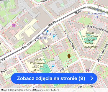 Niska 3 – zdjęcie 1