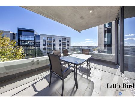 37/3 Burbury Close, Barton ACT 2600 - Apartment For Rent | Domain - Photo 4