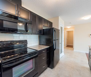 Solara at Sky View - Photo 4