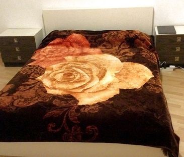 2 Zimmer-Wohnung in Bern - Felsenau/Tiefenau, möbliert, auf Zeit - Photo 4