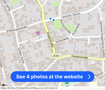 Schön geschnittene Souterrain-Wohnung - Photo 1