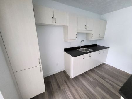 Appartement 4 ½ rénové à louer – Sherbrooke, Secteur Université & Mont-Bellevue - Photo 3