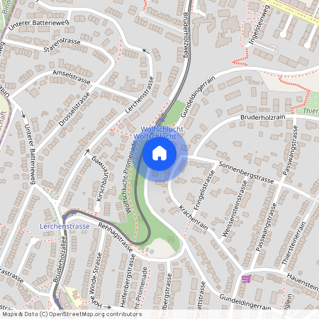 4059, Basel, Gundeldingerrain, 79
