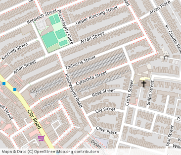 Cyfarthfa Street, Roath, Cardiff, CF24 - Photo 1