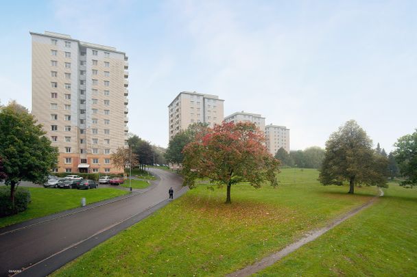 Oluff Nilssonsväg, Göteborg - Foto 1