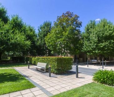 18 Bluebell St, O'Connor ACT 2602 - Townhouse For Rent | Domain - Photo 6