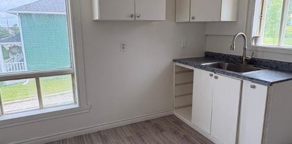 Appartement 3 1/2 à st-Paul-de-Montminy - Photo 2