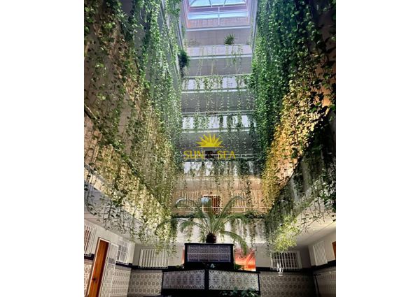 APARTMENT FOR RENT 100 METERS FROM THE BEACH IN TORREVIEJA - ALICANTE PROVINCE